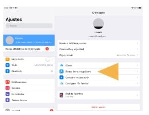 Comprueba-si-tu-suscripcion-esta-activa-–-iOS